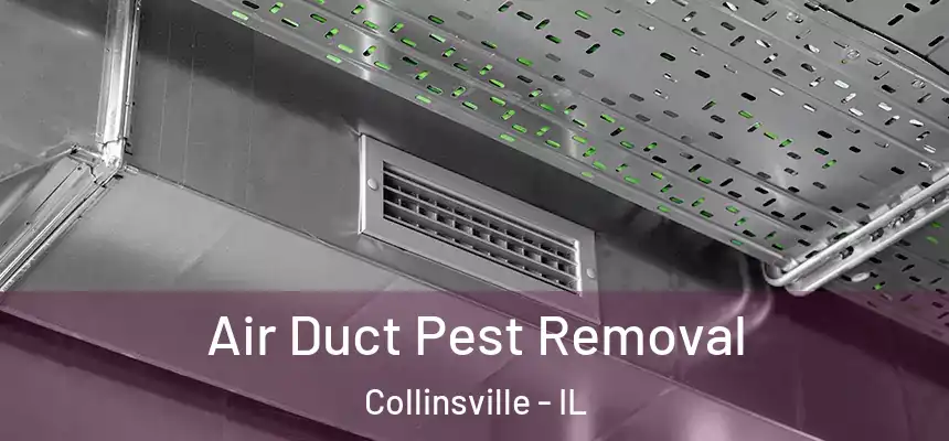  Air Duct Pest Removal Collinsville - IL