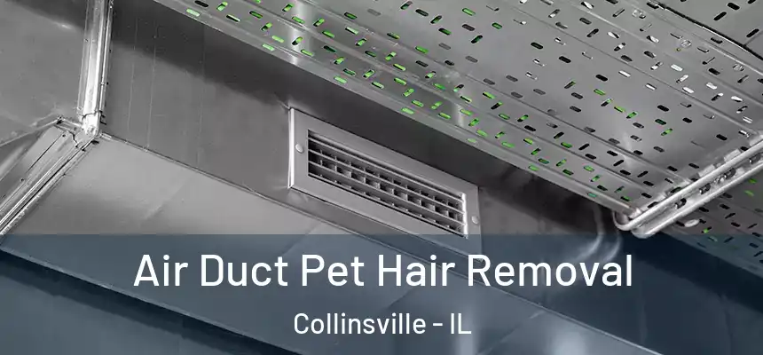 Air Duct Pet Hair Removal Collinsville - IL