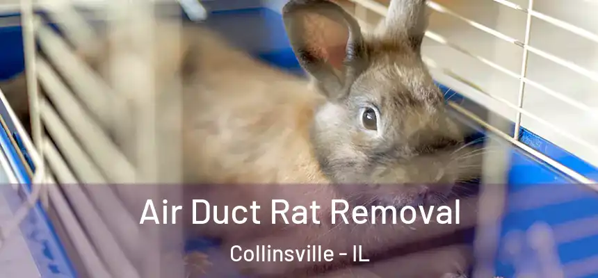 Air Duct Rat Removal Collinsville - IL