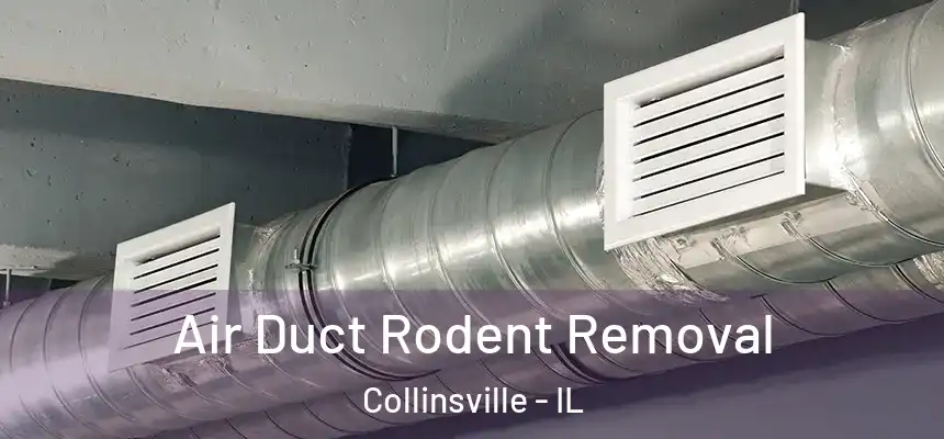 Air Duct Rodent Removal Collinsville - IL