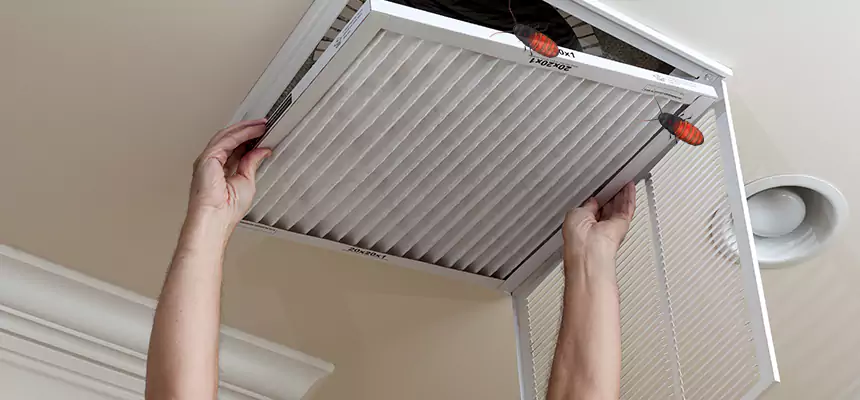 Preventive Cockroach-Proofing for Ducts in Collinsville