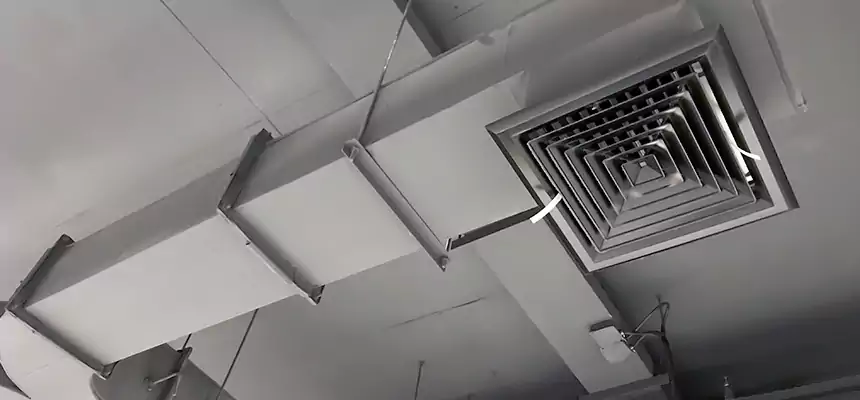 Restorative Allergy Relief Vent Cleaning – Coil, Blower & Housing Detail in Collinsville