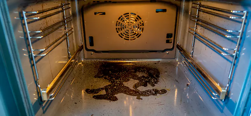 Our Dryer Vent Mold Cleaning Services in Collinsville, IL