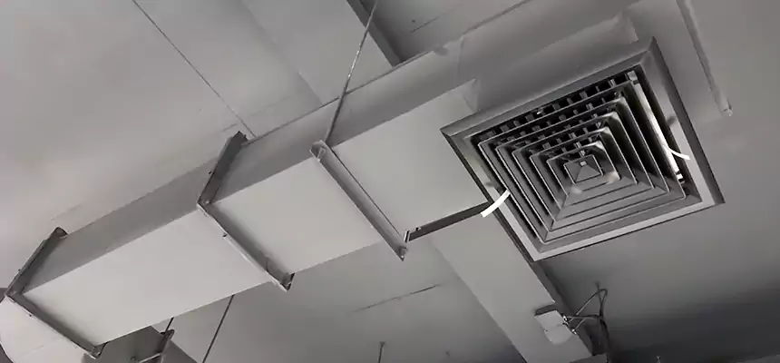 Our Pest Removal From Ducts Services in Collinsville, IL