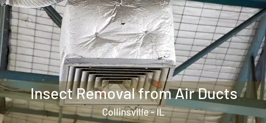  Insect Removal from Air Ducts Collinsville - IL
