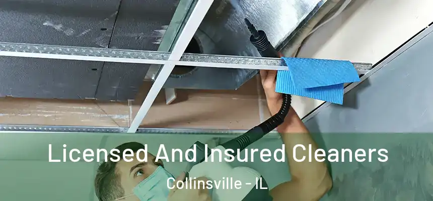 Licensed And Insured Cleaners Collinsville - IL