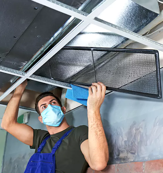 About Air Duct Bacteria Removal in Collinsville