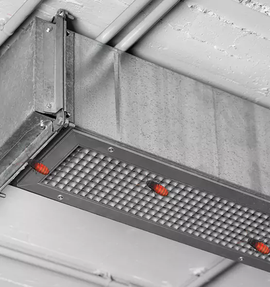 About Air Duct Cockroach Removal in Collinsville, IL