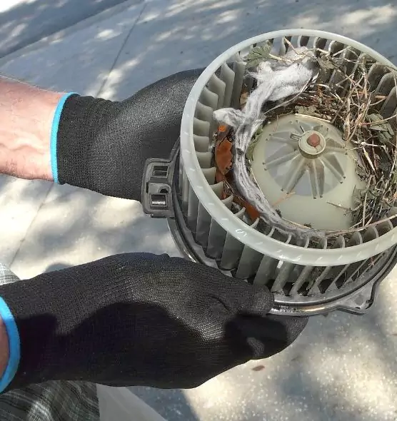 About Air Duct Rat Removal in Collinsville, IL