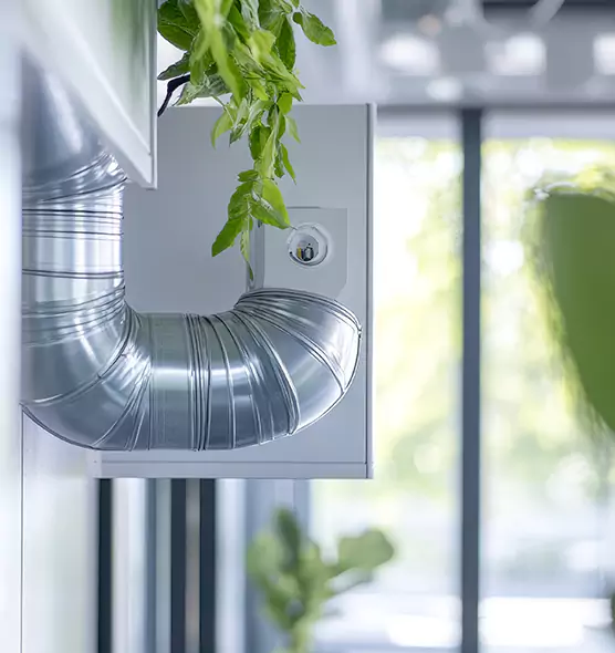 Professional Eco-Safe Dryer Vent Cleaning in Collinsville, IL