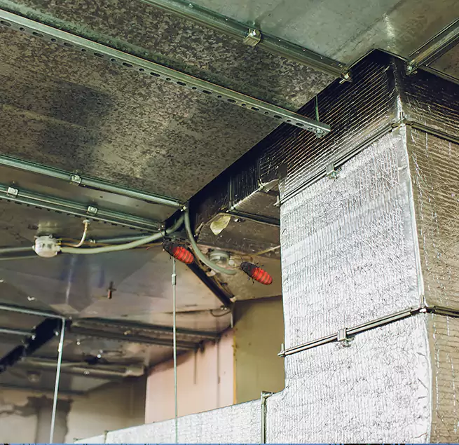 Why Homeowners & Businesses Trust Us in Collinsville, IL?