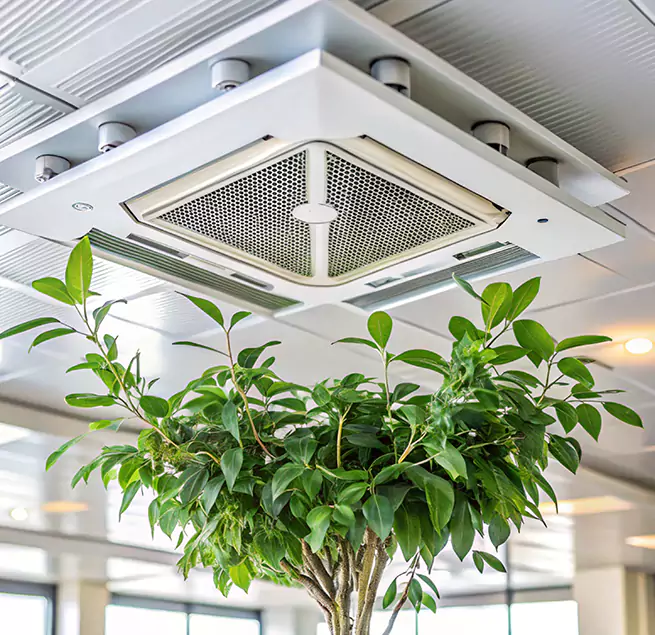 Why Homeowners & Businesses Trust Us in Collinsville, IL?