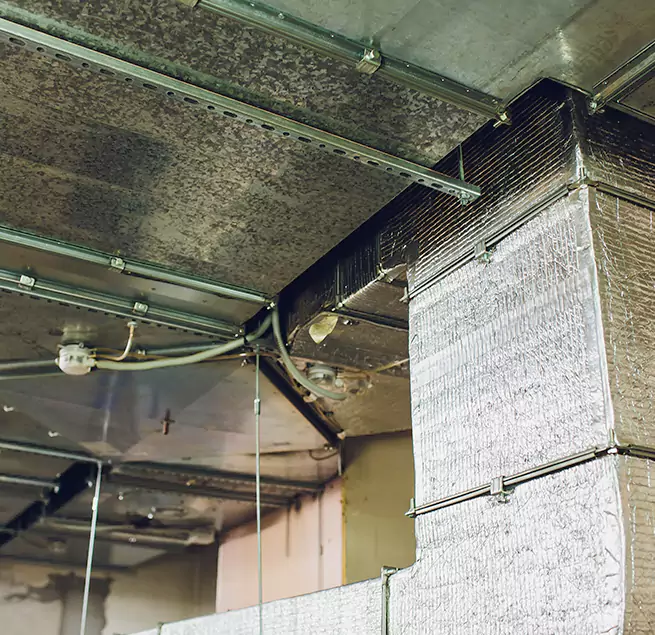 Why Homeowners & Businesses Trust Us in Collinsville, IL?